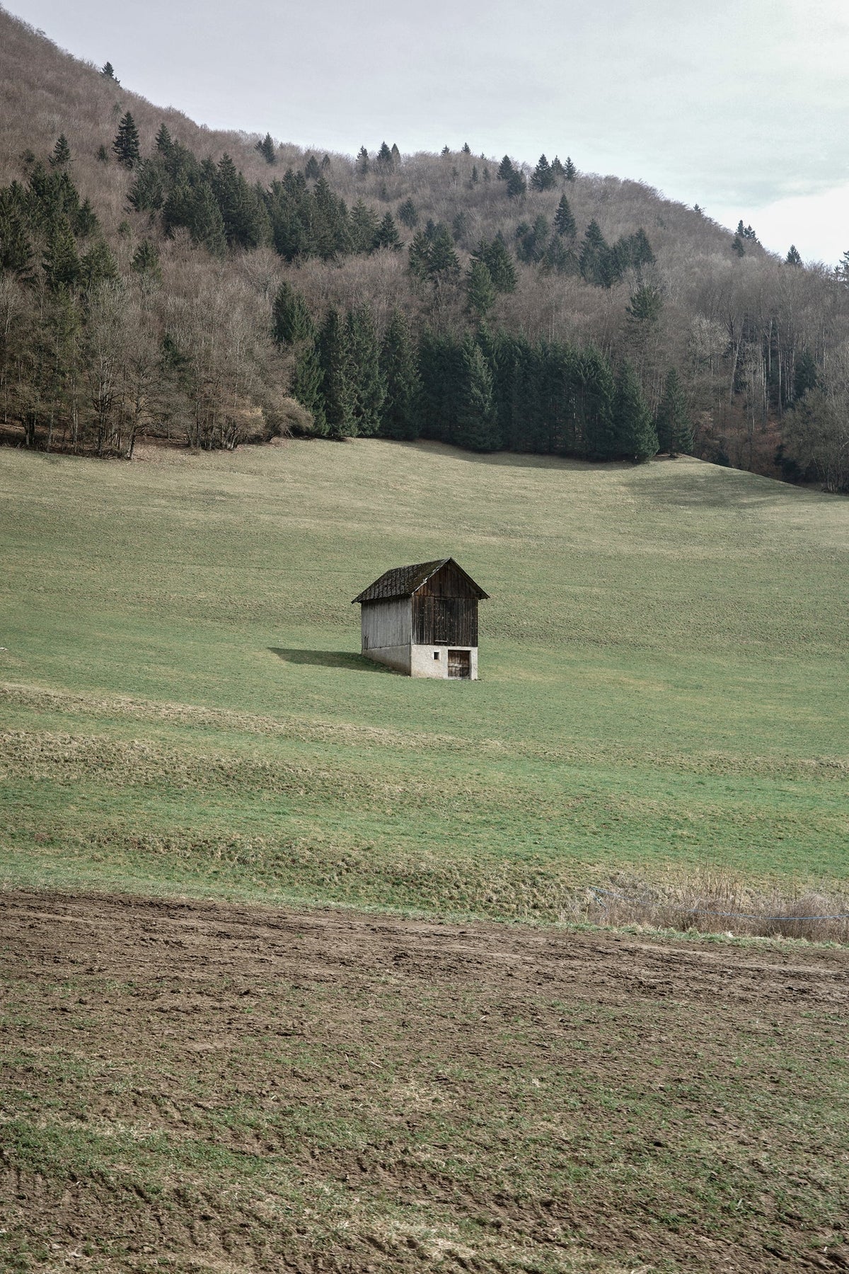 Alpages, Julien Lacroix : une exposition à la Librairie des Alpes dans le cadre de PhotoSaintGermain