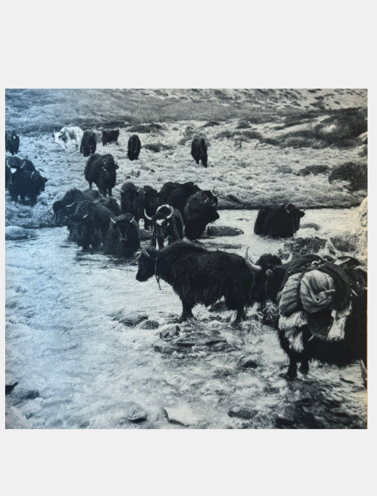 Everest 1938 - H.W. Tilman-3