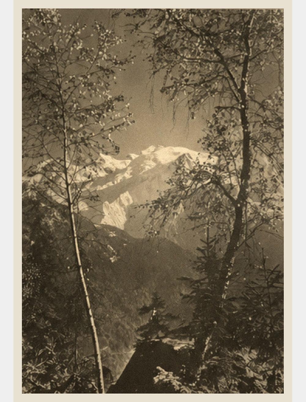 Les deux arbres, Pierre Tairraz