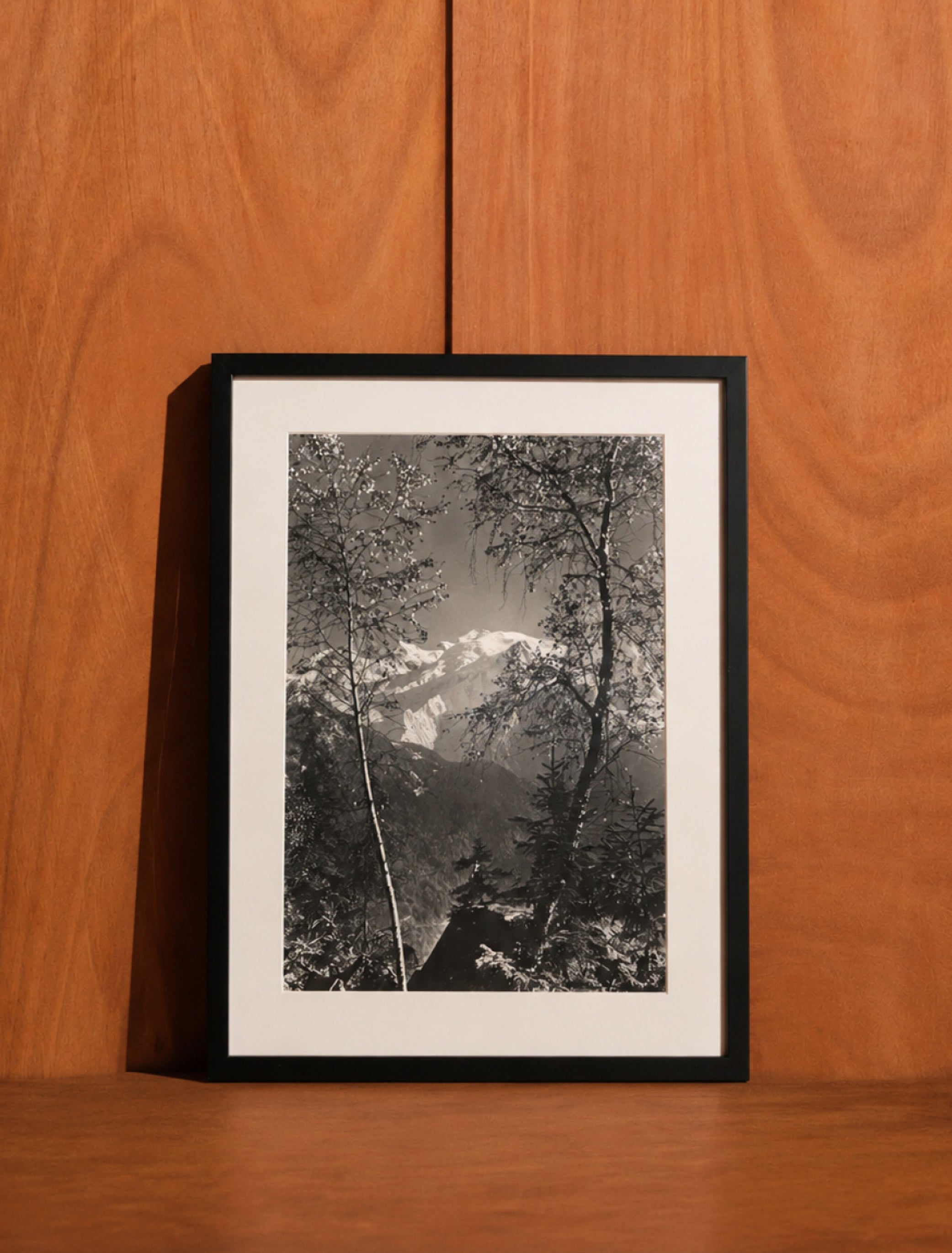 Les deux arbres, Pierre Tairraz