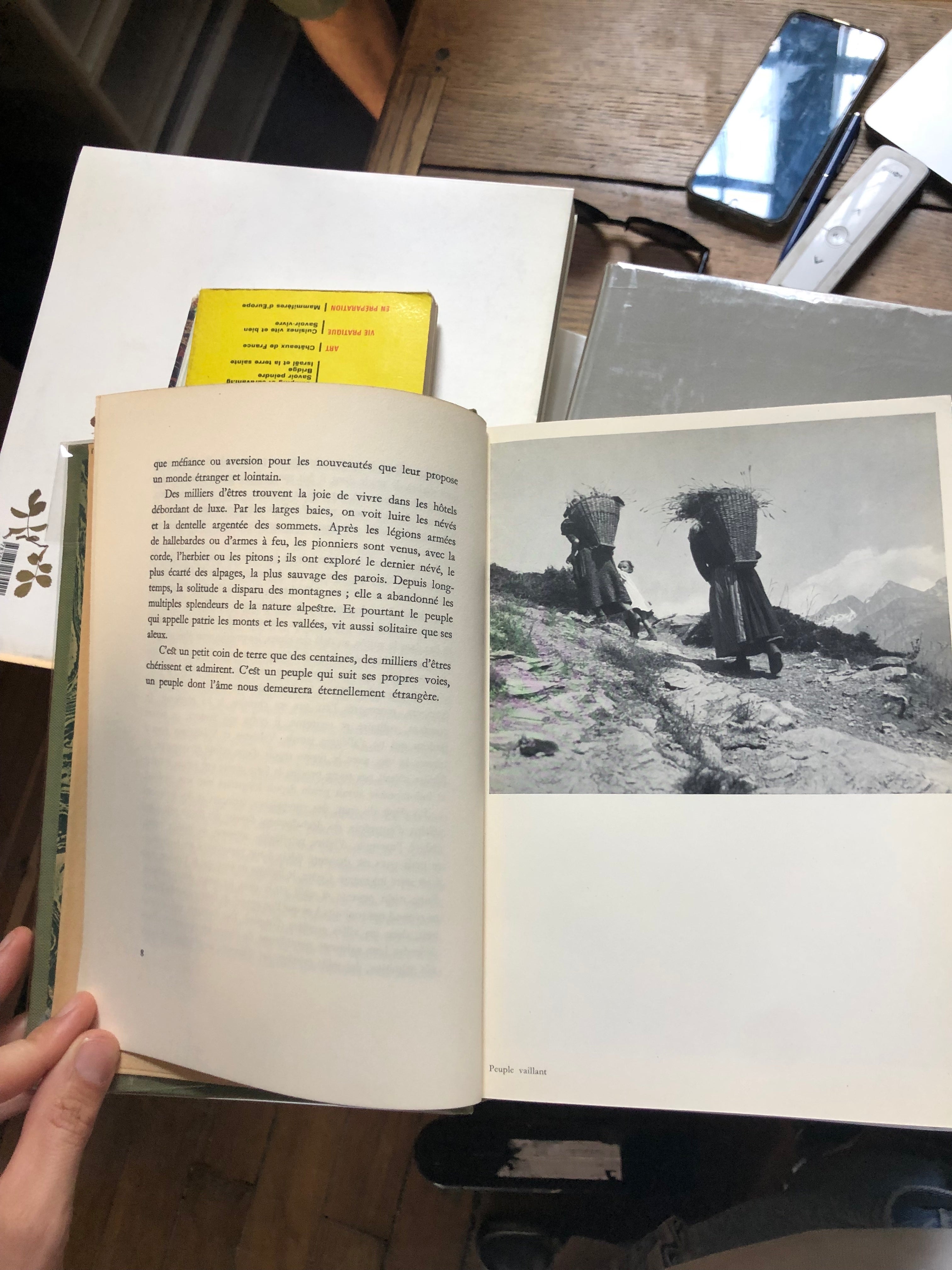 À la découverte du Valais, Walter Schmid-5